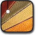 Ostrich Leather Swatch